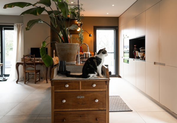 Charmante maison familiale dans un cadre privilégié 9