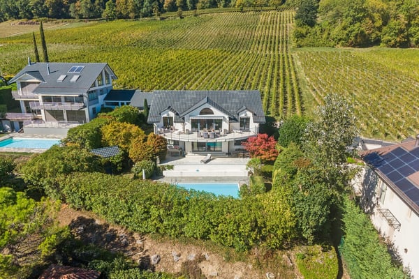 Villa individuelle entre vignes et lac 2