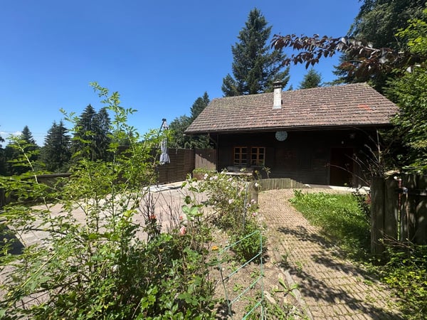 Chalet composé de 2 logements 13