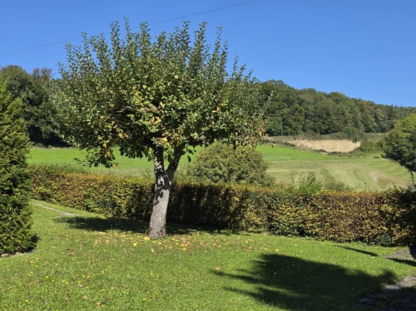 Viel Platz, Ruhe & Privatsphäre - freistehendes Einfamilienhaus mit viel Potenzial 20