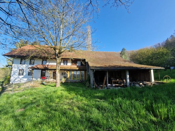 Einzigartiges Bauernhaus mit viel Umschwung 1