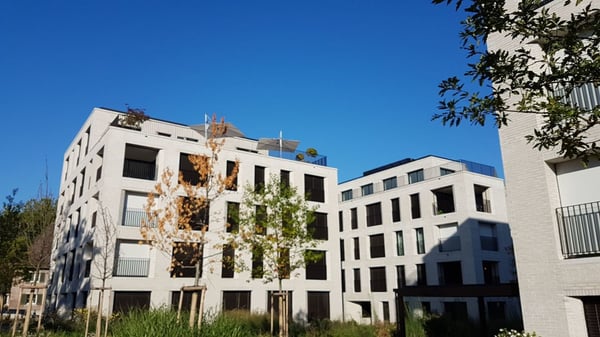 Begehrtes Wohnen am Rhein - Ihre einmalige Gelegenheit! 1