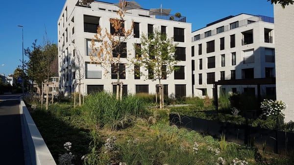 Begehrtes Wohnen am Rhein - Ihre einmalige Gelegenheit! 2