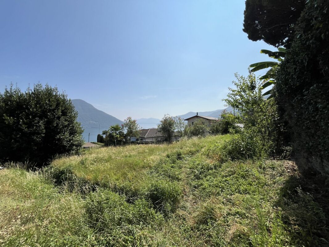 Bauland über dem Lago Maggiore