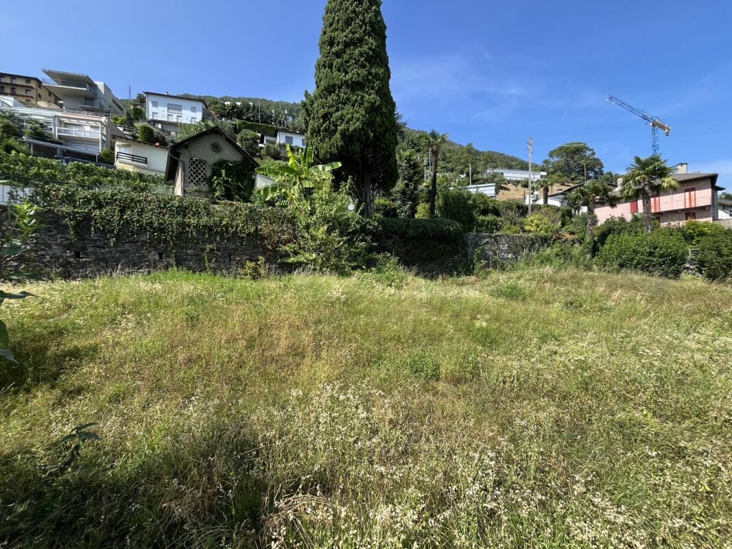 Bauland über dem Lago Maggiore