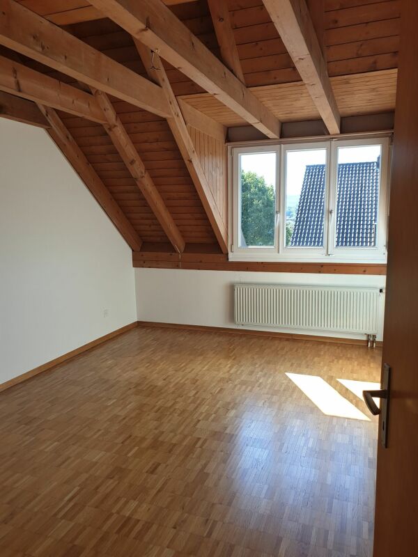 Ihr neues Zuhause im wunderschönen Birmenstorf!