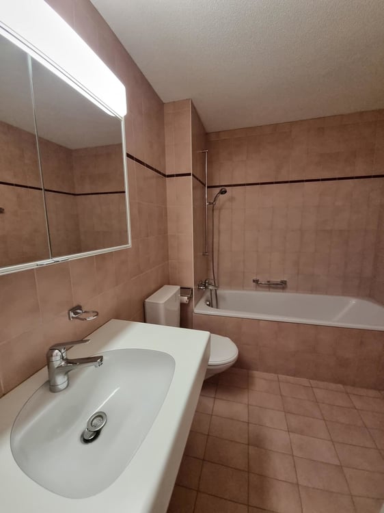 Gemütliche 1.5 Zimmer-Wohnung im 1.OG zu vermieten 3