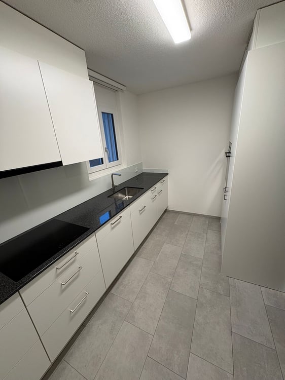 Renovierte 1.5 Zimmer-Wohnung zu vermieten 3