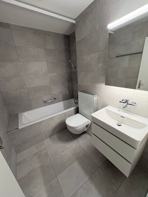 Renovierte 1.5 Zimmer-Wohnung zu vermieten 6