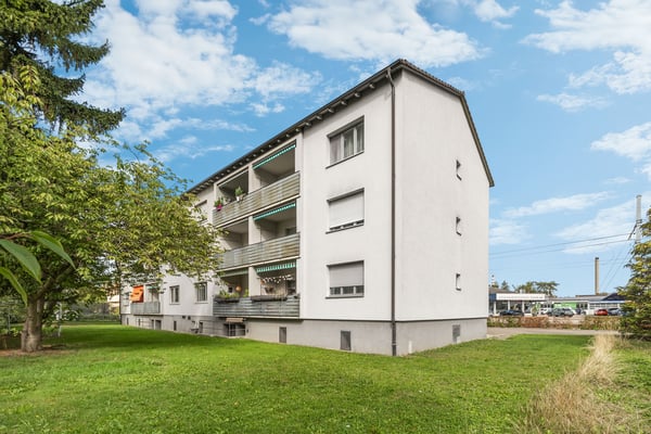 Schöne 1 - Zimmerwohnung in Muttenz 1