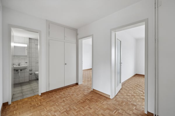 Schöne 1 - Zimmerwohnung in Muttenz 2