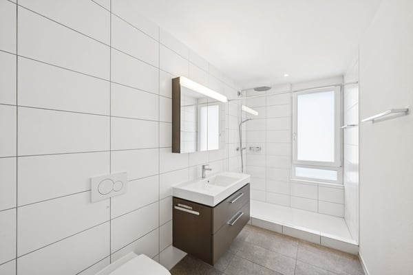 4.5 Zimmer - Attikawohnung mit sonniger Dachterrasse 5