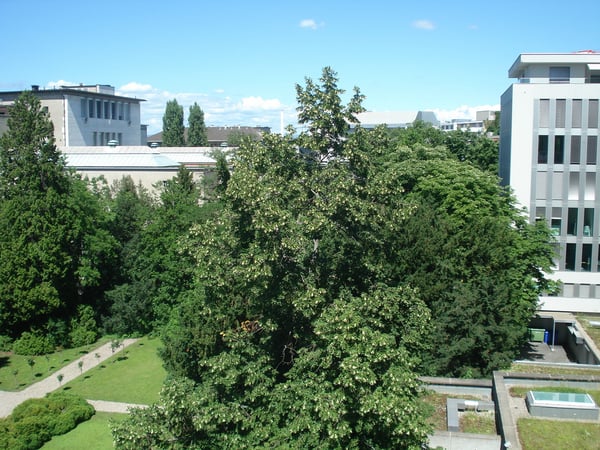 Exklusive Stadtwohnung mit Blick ins Grüne 6