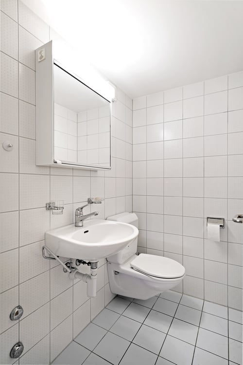 Grosszügige 3 Zimmer Wohnung in Allschwil 7