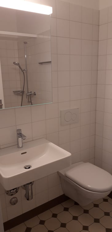 Sanierte 1-Zimmerwohnung mit Balkon 4