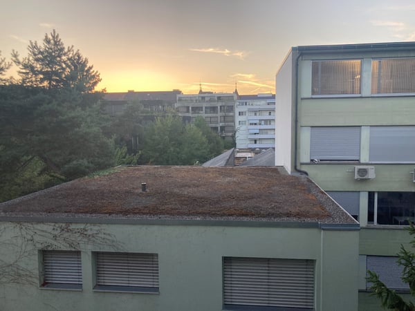 Helle Wohnung im Gundeli-Quartier 1