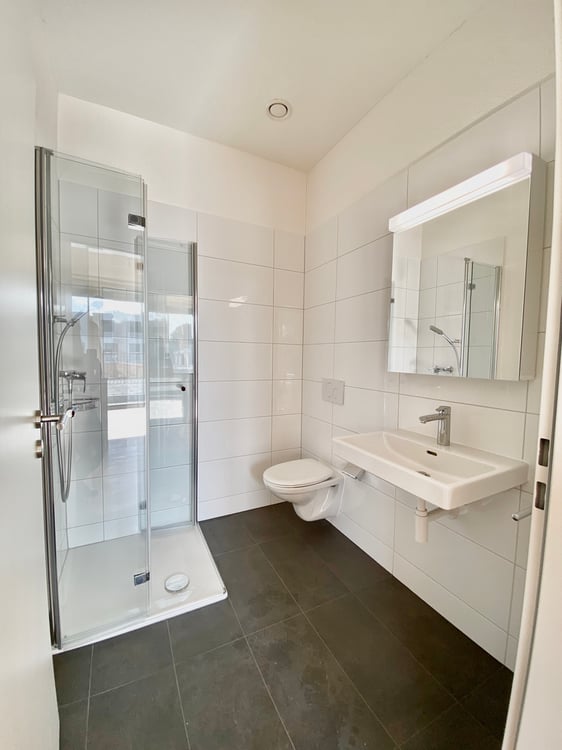 Einzigartige und moderne Maisonettewohnung an der Birs 4