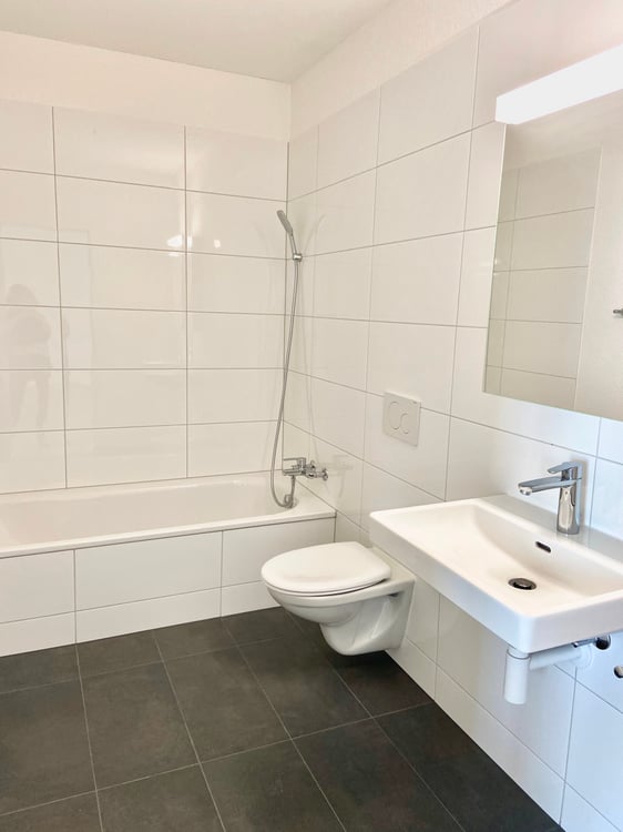 Einzigartige und moderne Maisonettewohnung an der Birs 5