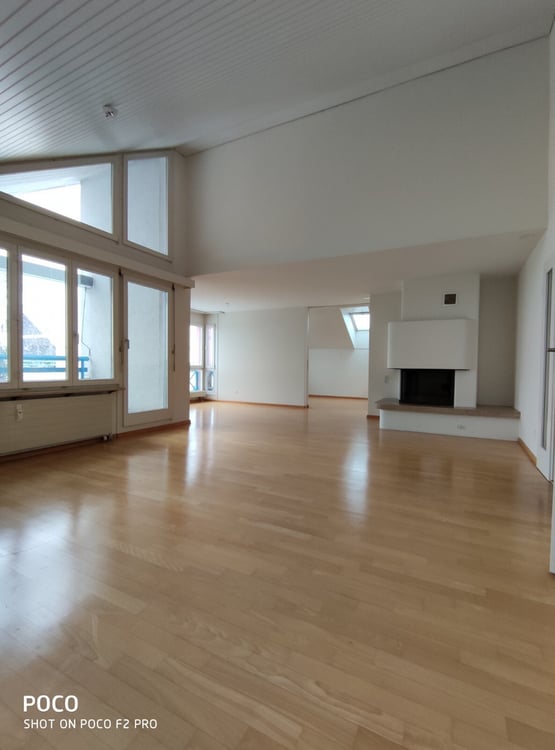 Aussergewöhnliche Dachwohnung 3