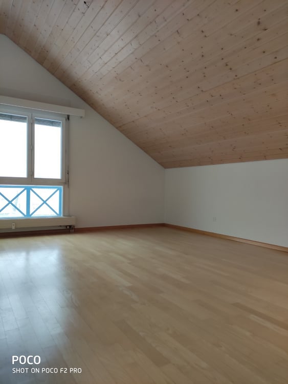 Aussergewöhnliche Dachwohnung 10