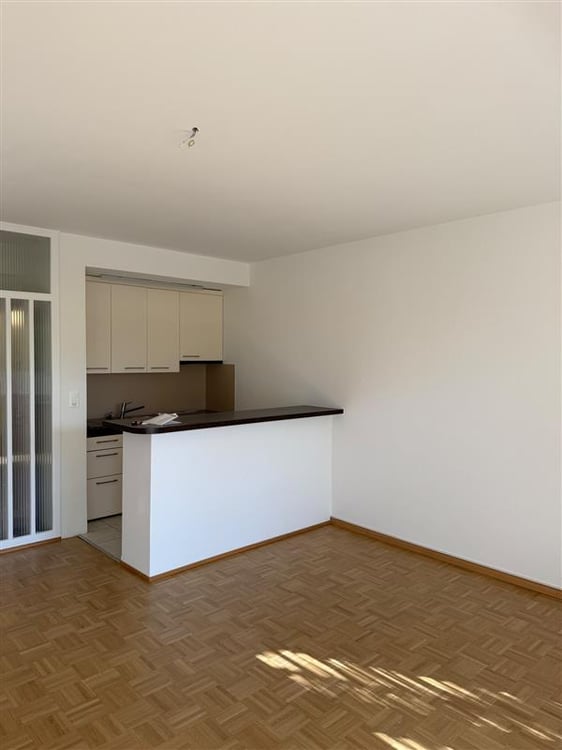 3.5-Zimmerwohnung mit Balkon direkt am Rhein 2