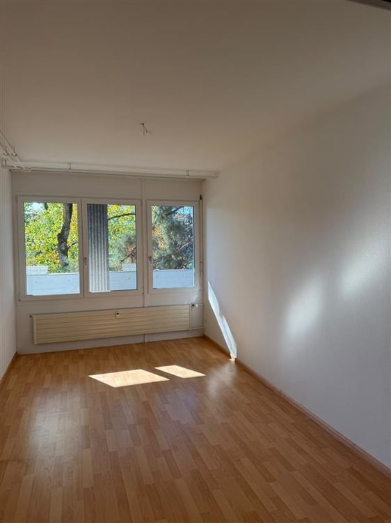 3.5-Zimmerwohnung mit Balkon direkt am Rhein 3