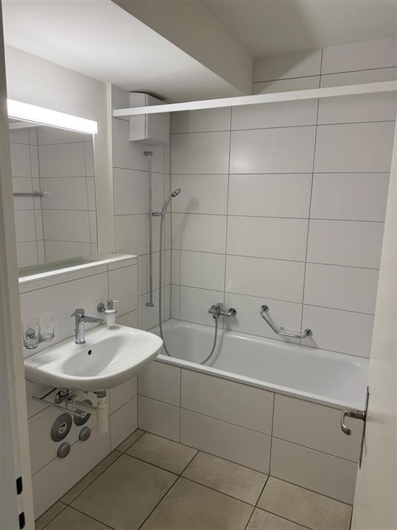 2.5-Zimmerwohnung direkt am Rhein 5