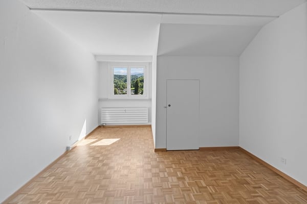 Dachwohnung mit Blick auf das Rheintal 8