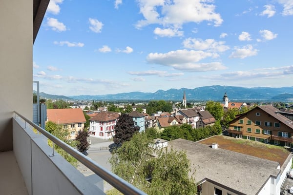 Dachwohnung mit Blick auf das Rheintal 2
