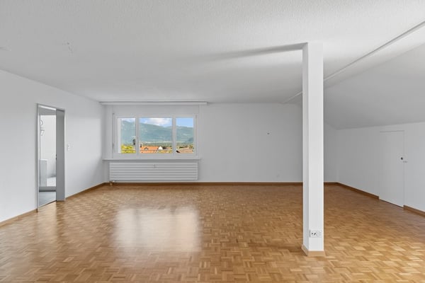 Dachwohnung mit Blick auf das Rheintal 4