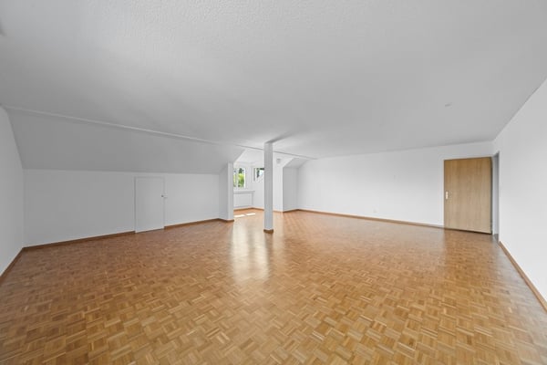 Dachwohnung mit Blick auf das Rheintal 3
