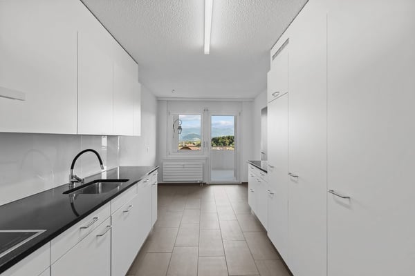 Dachwohnung mit Blick auf das Rheintal 5