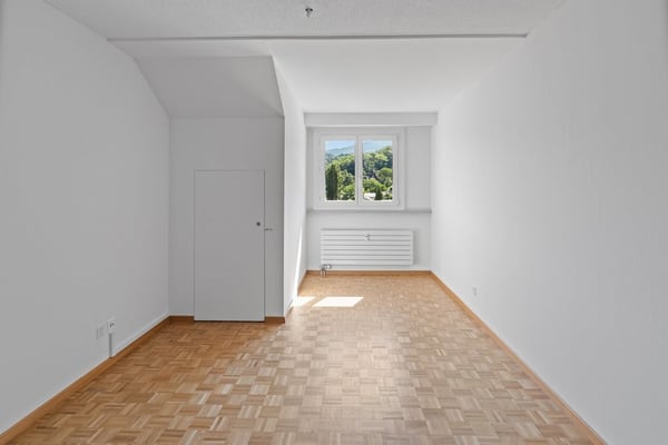 Dachwohnung mit Blick auf das Rheintal 7