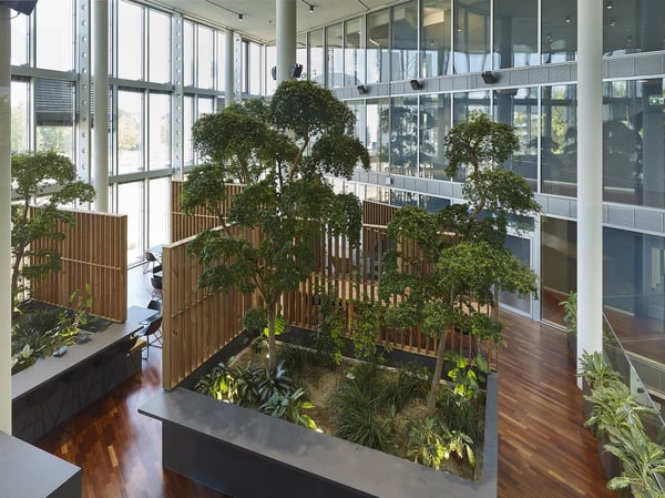 Bürofläche an Toplage 6