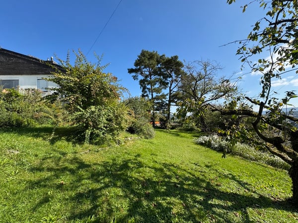 Parzelle (bebaubar) mit Panoramasicht, EFH renovationsbedürftig 3