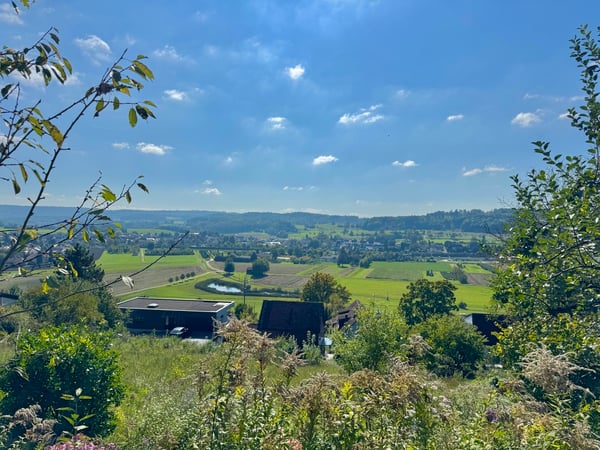 Parzelle (bebaubar) mit Panoramasicht, EFH renovationsbedürftig 2