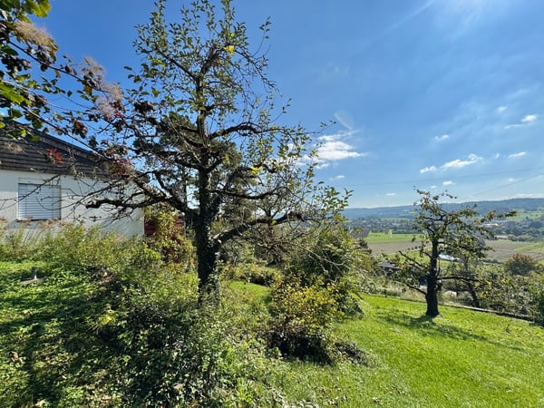 Parzelle (bebaubar) mit Panoramasicht, EFH renovationsbedürftig 6