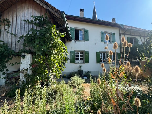 6.5 Zi. Riegelhaus mit grosser Scheune und Garten 8