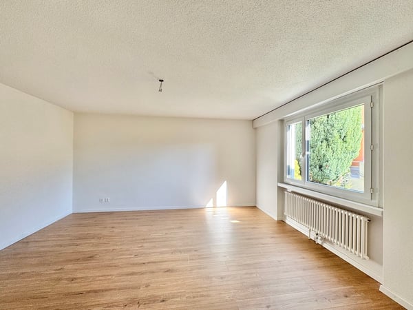 Sonnige Hanglage mit Rheinblick: 5.5-Zi. Terrassenhaus an ruhiger Lage 9