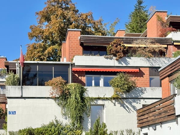 Sonnige Hanglage mit Rheinblick: 5.5-Zi. Terrassenhaus an ruhiger Lage 12