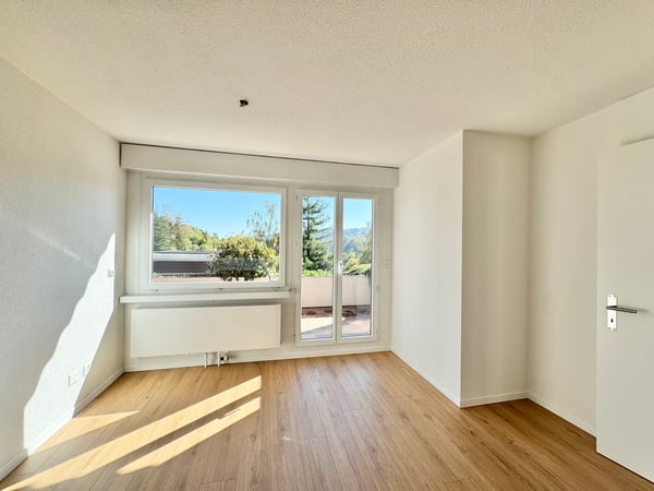 Sonnige Hanglage mit Rheinblick: 5.5-Zi. Terrassenhaus an ruhiger Lage 8