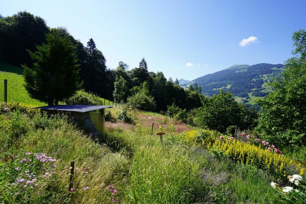 Bauernhaus mit Werkräumen, Stall und Garagenbox 8