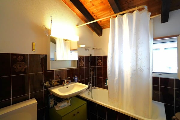 1.5-Zimmer-Dachwohnung 7