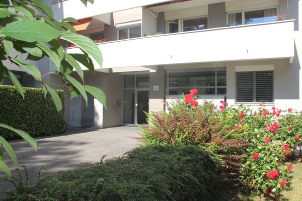 Helle 1.5-Zimmer-Wohnung im beliebten Lacuna-Quartier - ruhig, grün und zentral gelegen 13