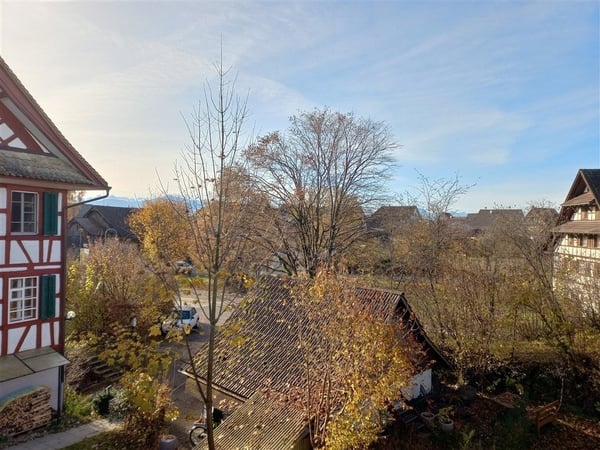 SENNHOF - Doppeleinfamilienhaus an herrlich ruhiger Lage 3