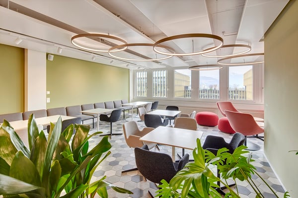 Teambüro für bis zu 6 Personen effizient, ruhig, bezugsbereit - Office Nr. 0 2