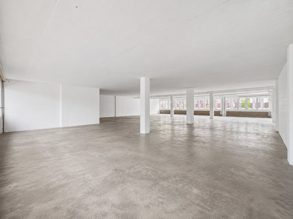 Flexible 488 m² Geschäftsfläche für Büro, Atelier, Showroom oder Lager in Cham 5