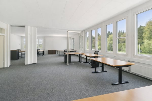 Attraktive Gewerbefläche - Büro, Produktion und Lager unter einem Dach 4