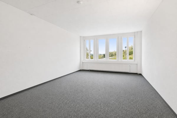 Flexible Bürofläche ab 191 m² in Dietikon - Bezugsbereit, gut erschlossen und flexibel erweiterbar 3