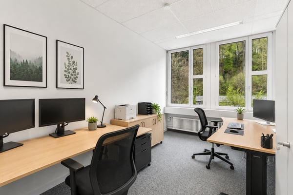 Flexible Bürofläche ab 191 m² in Dietikon - Bezugsbereit, gut erschlossen und flexibel erweiterbar 4